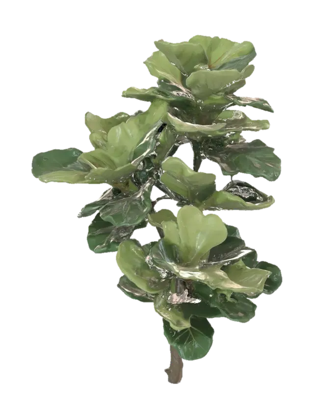3D model for Rubber plant