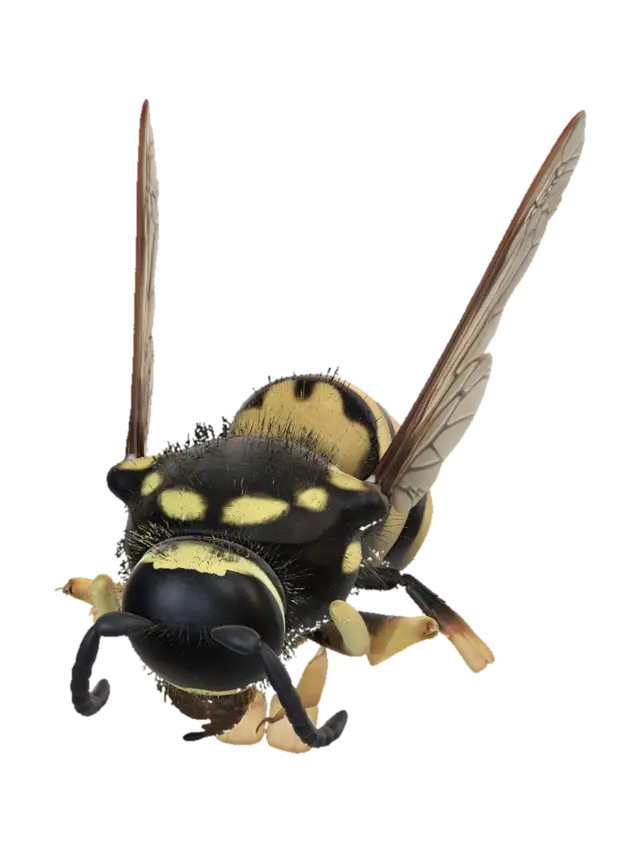 Yellow Jacket Wasp 3D model, vytvořený pomocí AI