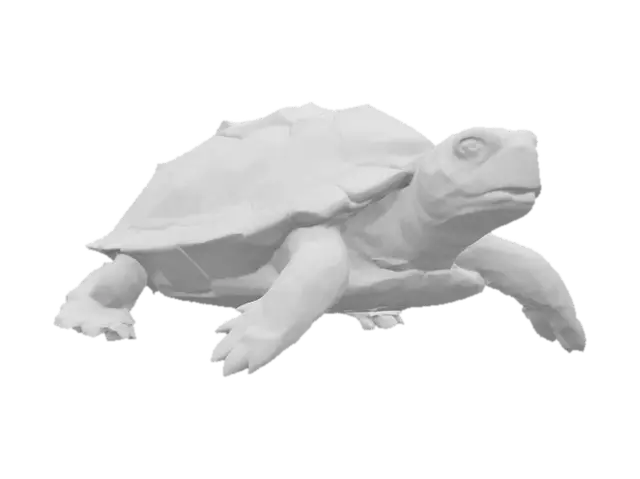 3D model for Turtle Stroll in the City