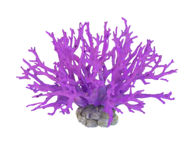 sea coral 3D model, vytvořený pomocí AI