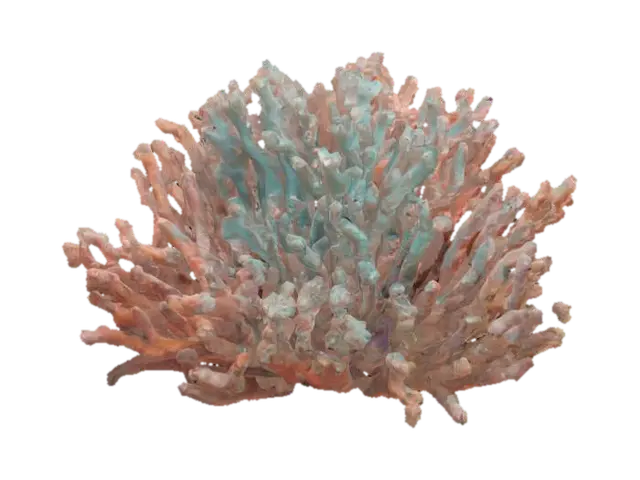 sea coral 3D model, vytvořený pomocí AI