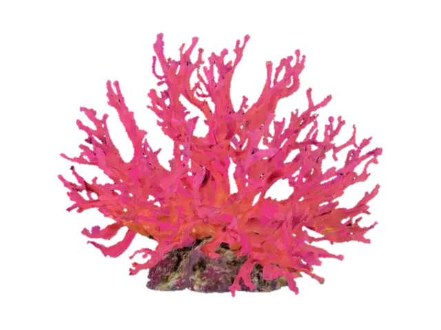 sea coral 3D model, vytvořený pomocí AI