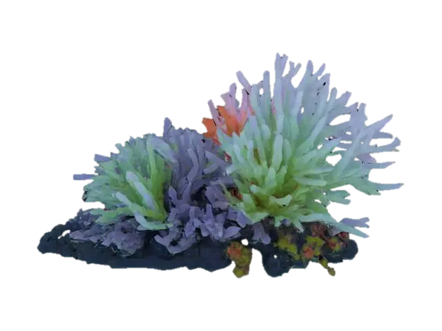 sea plant - Coral 3D model, vytvořený pomocí AI
