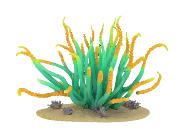 sea plant - Flora 3D model, vytvořený pomocí AI