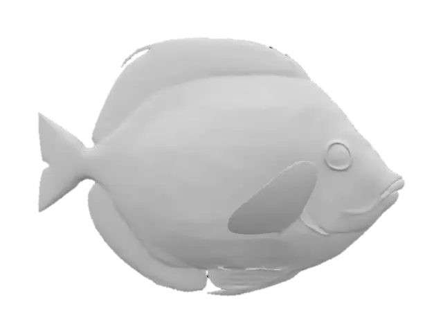 3D model for tropical fish