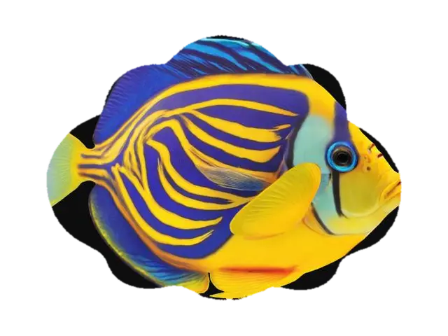 3D model for tropical fish