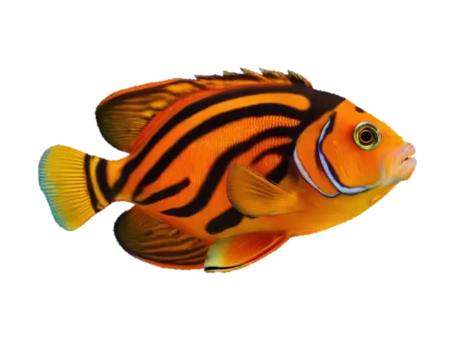 tropical fish 3D model, vytvořený pomocí AI