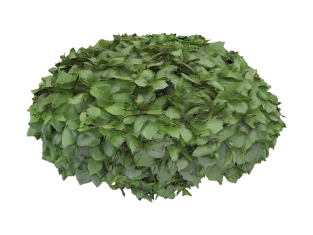 Bush. A dense, rounded bush with a compact, irregular shape, composed of numerous… - Shrub 3D model, vytvořený pomocí AI