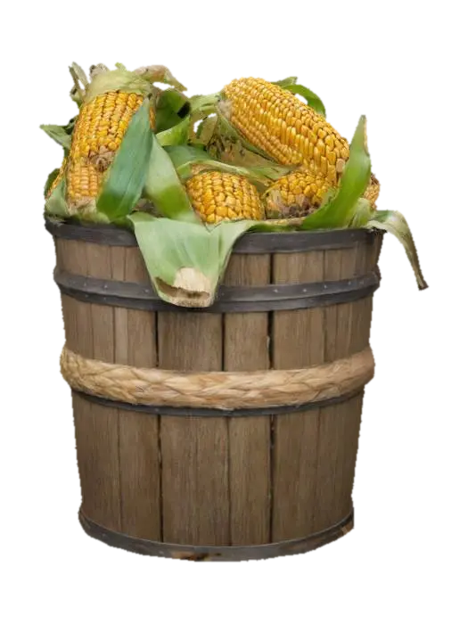 BucketOfCorn - Harvest 3D model, vytvořený pomocí AI