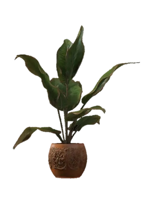 3D model for Plant , Game Assets