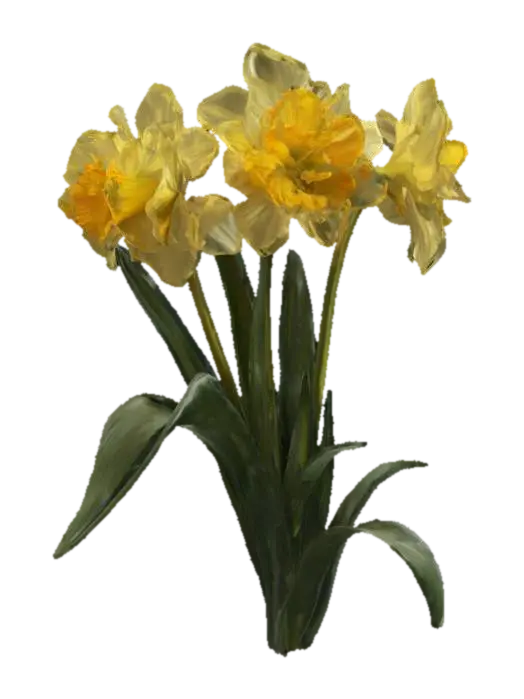 Daffodil Delight - Bloom 3D model, vytvořený pomocí AI