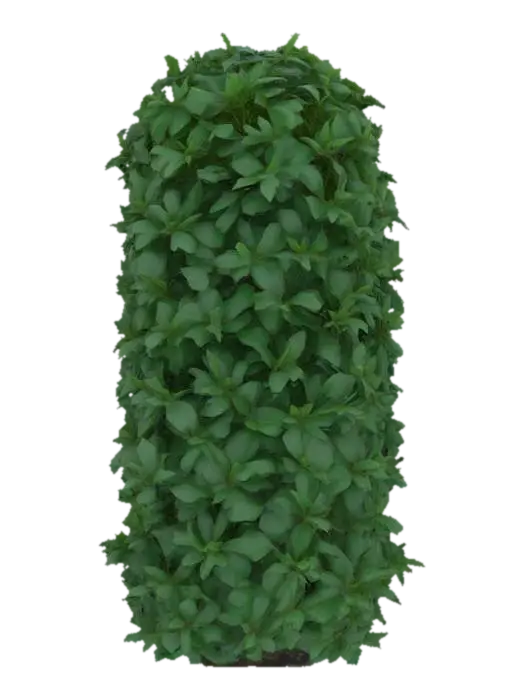 Bush. A dense, oblong tall bush with a compact, irregular shape, composed of numerous… - Shrub 3D model, vytvořený pomocí AI