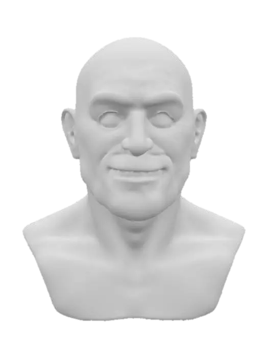 3D model for handsome old man bust, polished copper