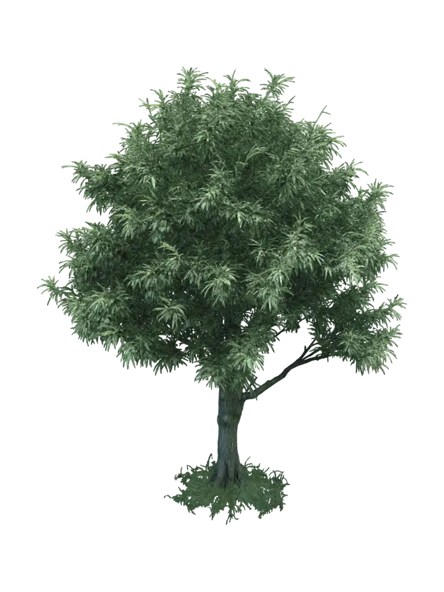 Tree - Softlight 3D model, vytvořený pomocí AI