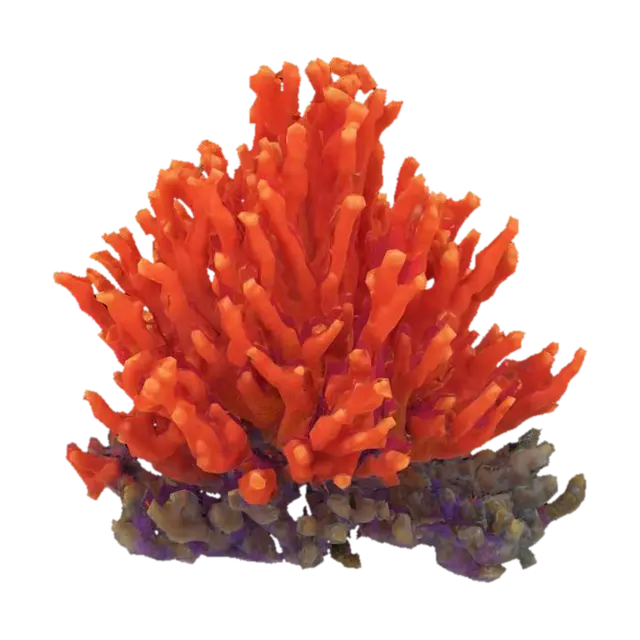 sea coral 3D model, vytvořený pomocí AI