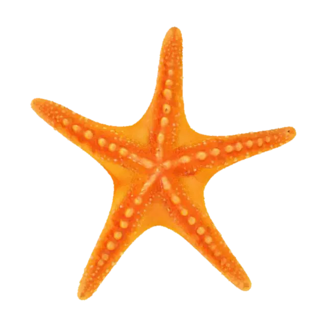 starfish - Star 3D-model, gegenereerd door AI