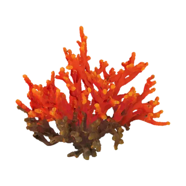 sea coral 3D model, vytvořený pomocí AI