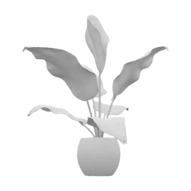3D model for Plant , Game Assets