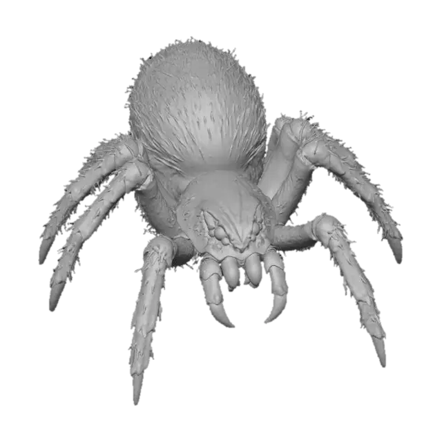 3D model for Arachnid Majesty