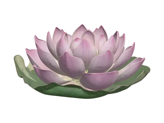 3D model for Lotus Flower