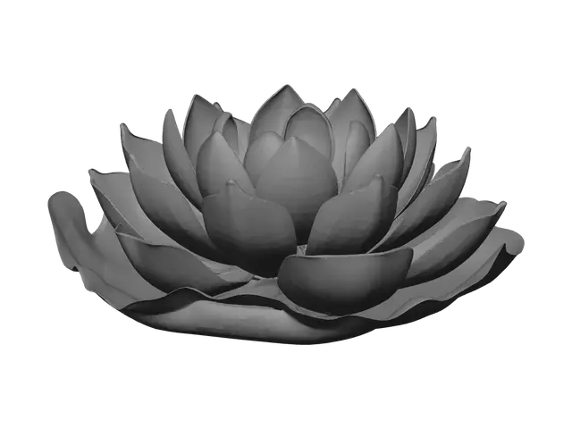 3D model for Lotus Flower