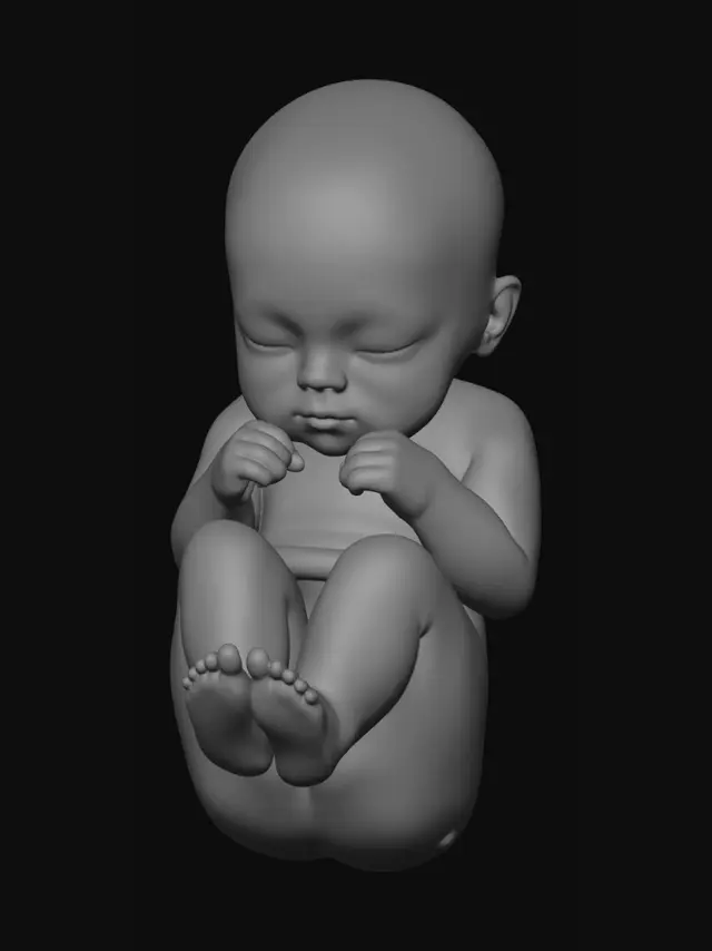 3D model for Four-View Baby