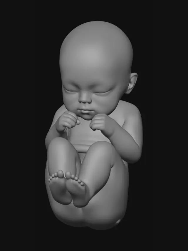 3D model for Four-View Baby