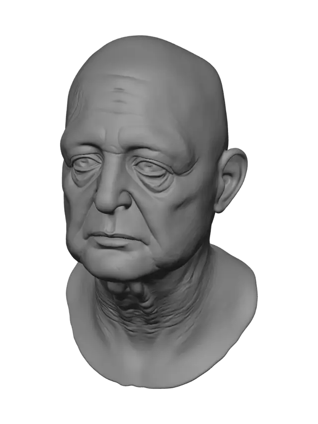 3D model for The Bald Elder