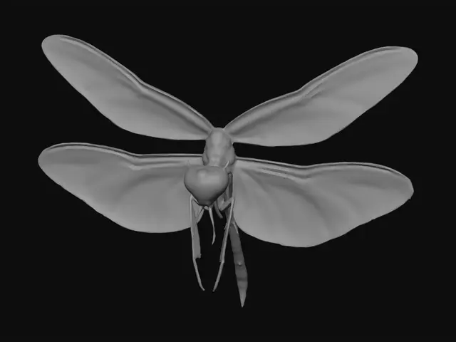 3D model for dragonfly, simple but not playful