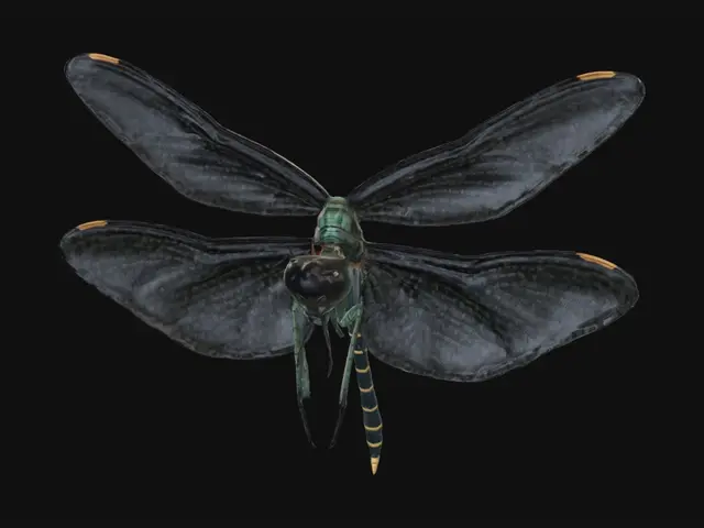 3D model for dragonfly, simple but not playful