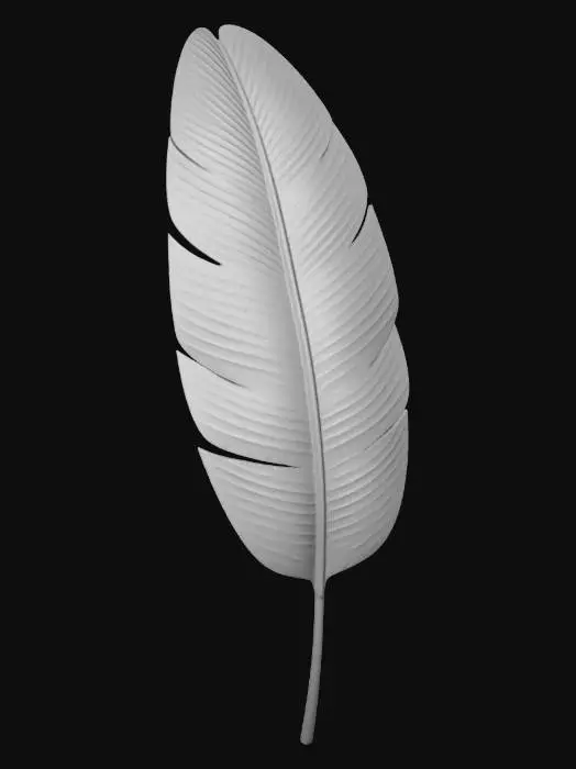 3D model for Banana leaf