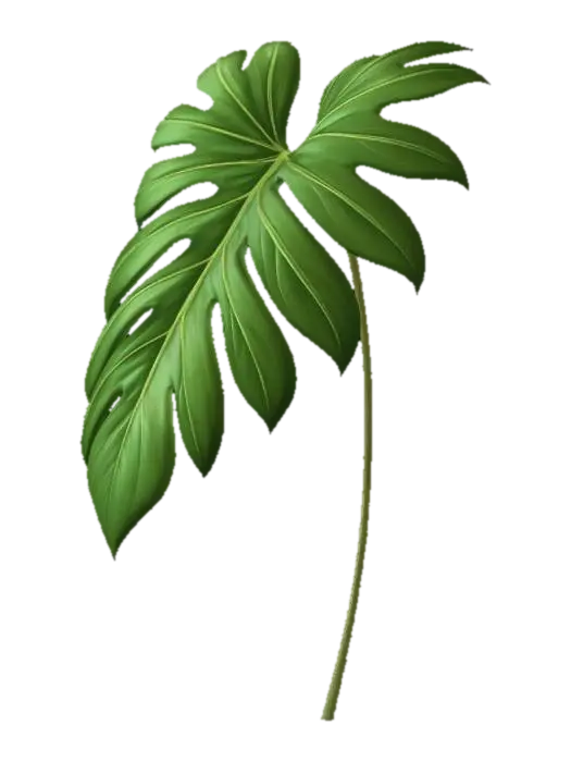 3D model for Philodendron leaf