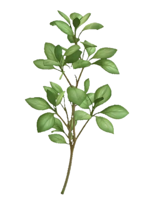 Pittosporum - Shrub 3D model, vytvořený pomocí AI
