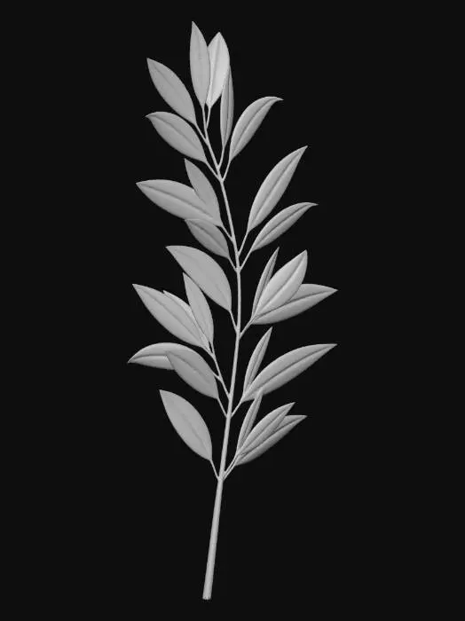 3D model for Olive branch