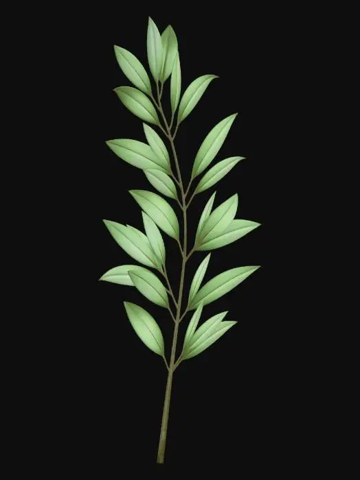3D model for Olive branch