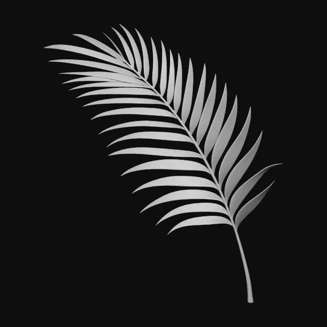 3D model for Palm Frond