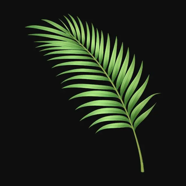 3D model for Palm Frond