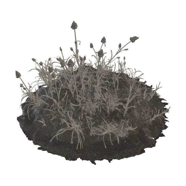 Ashen Thicket - Overgrowth 3D model, vytvořený pomocí AI