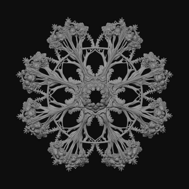 3D model for The L-System Rules
Axiom F+F+F+F
F --> FF+F-F+F+FF
ø = 90