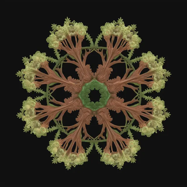 3D model for The L-System Rules
Axiom F+F+F+F
F --> FF+F-F+F+FF
ø = 90