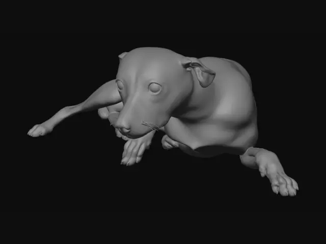 3D model for Beagle on a Cozy Bed