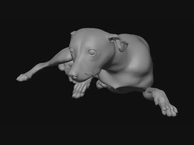 3D model for Beagle on a Cozy Bed