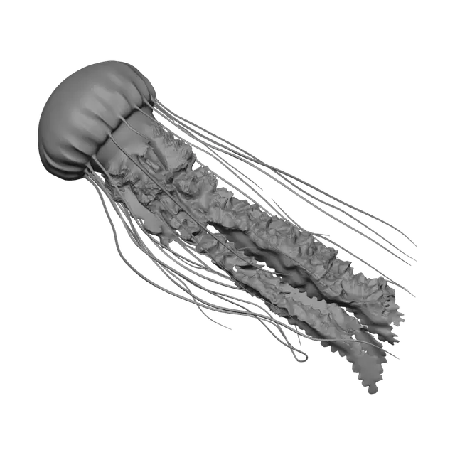 3D model for Golden Jellyfish