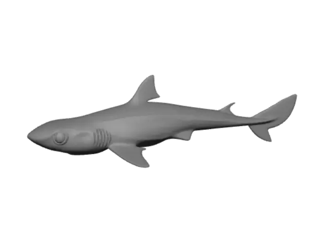 3D model for Dark Sand Shark