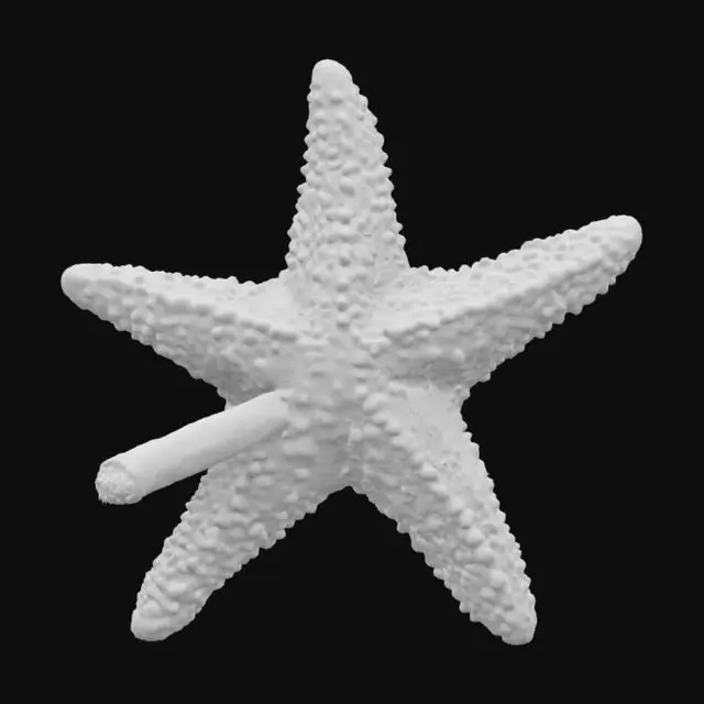 3D model for Starfish Smoke