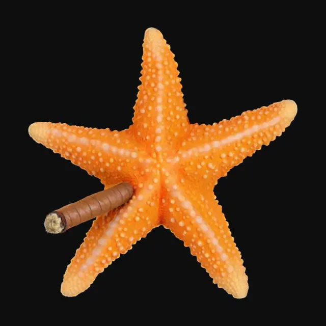 3D model for Starfish Smoke