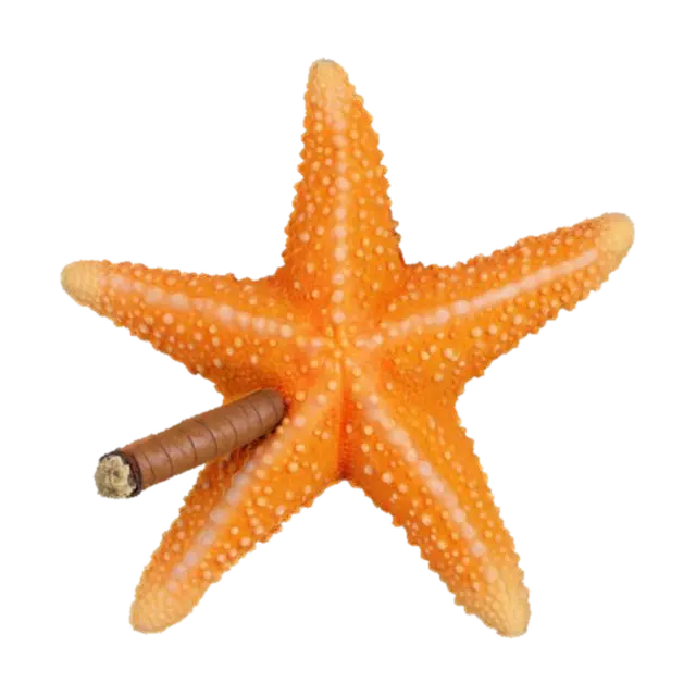 Starfish Smoke 3D model, vytvořený pomocí AI