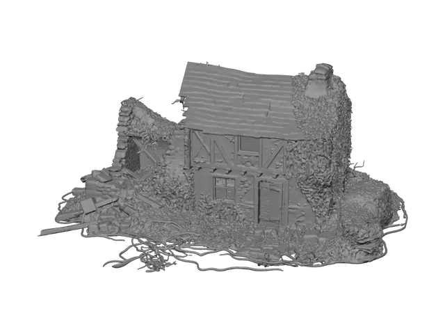 3D model for Vine-Wrapped Ruin