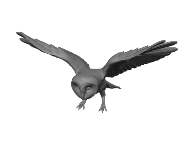 3D model for barn owl in flight