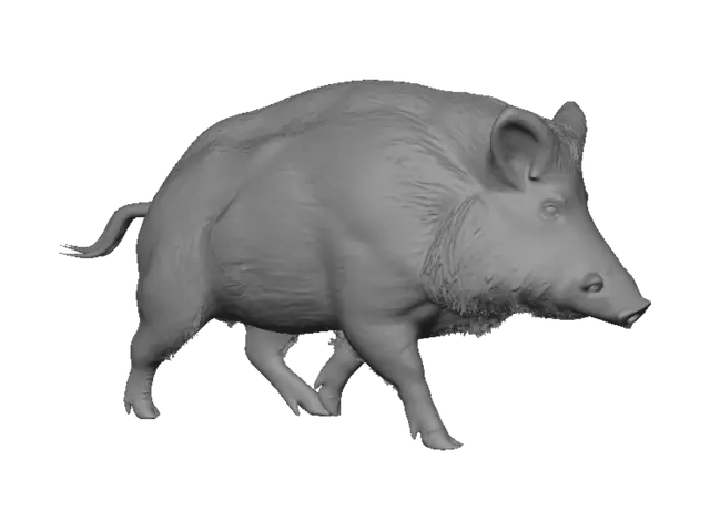 3D model for Boar in Profile